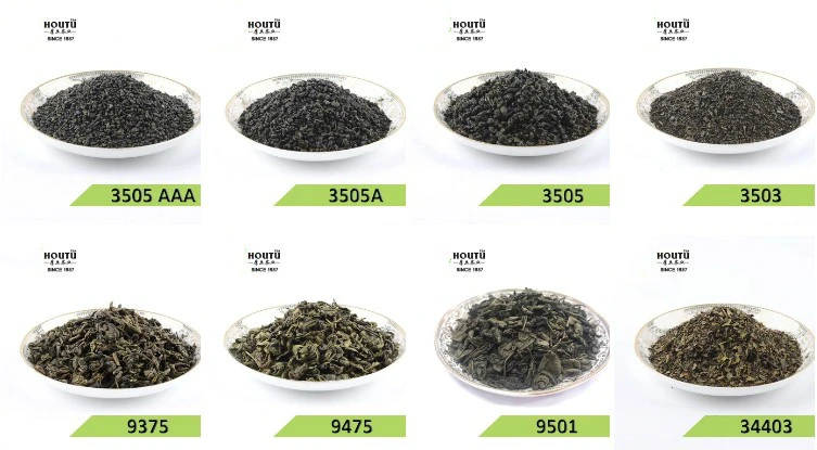 chinese gunpowder tea from hoututea factory.jpg chinese gunpowder tea from hoututea factory.jpg